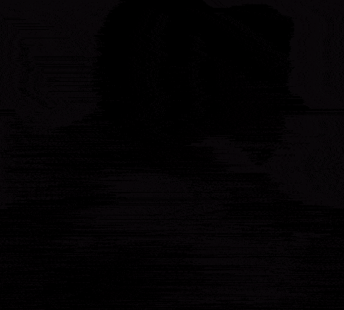 على الحسيني سلام